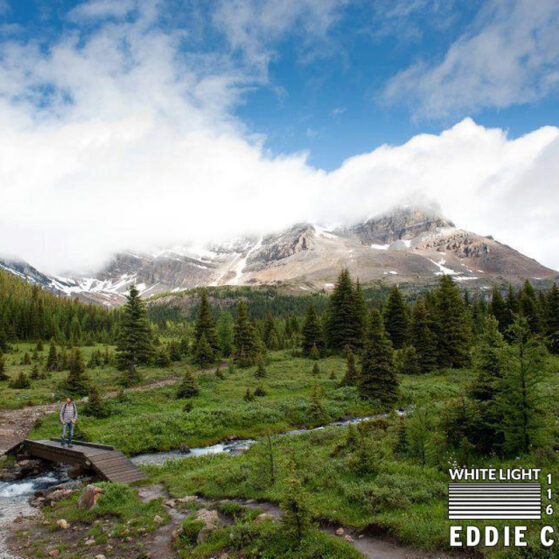 white-light-116-eddie-c